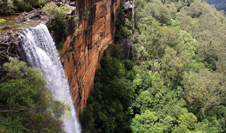Fitzroy Falls - Photo: John Yurasek © DPIE